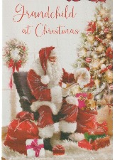 Grandchild At Christmas